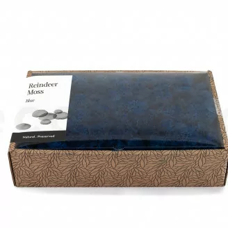 Preserved Reindeer Moss Blue (Creabox M)