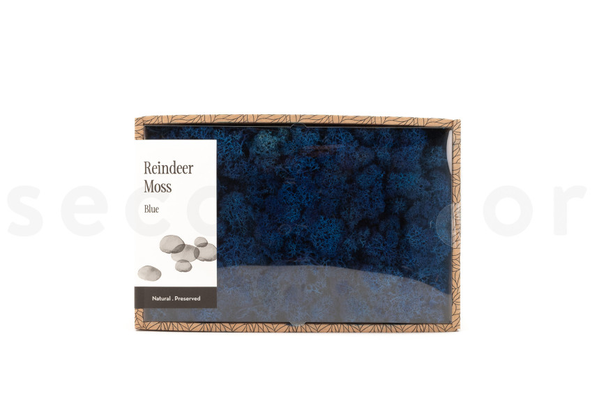 Lichen Stabilis&eacute; - Creabox M - Royal Blue