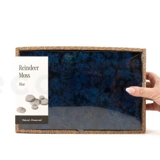 Lichen stabilis&eacute; Bleu (Creabox M)