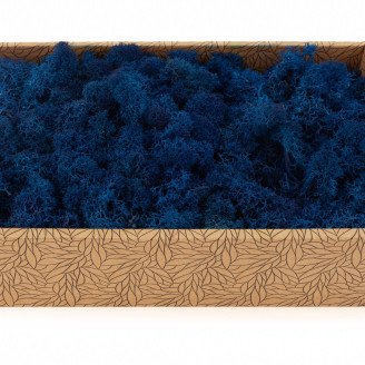 Islandmoos konserviert - Creabox M - Royal Blue