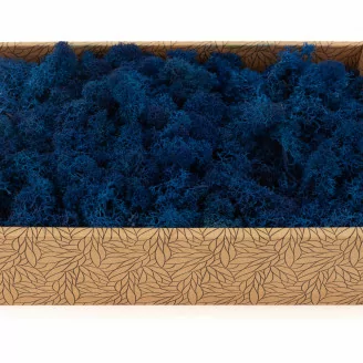 Lichen stabilis&eacute; Bleu (Creabox M)