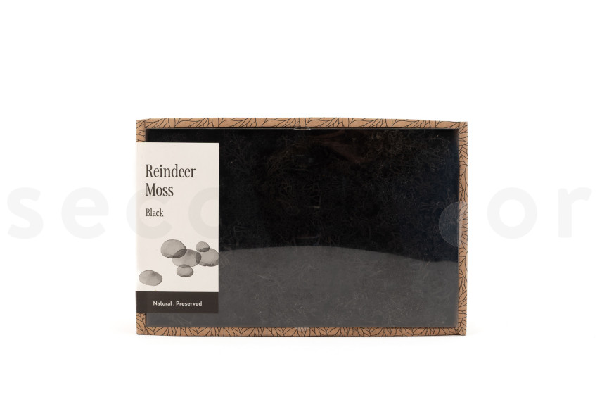 Lichen Stabilis&eacute; - Creabox M - Noir