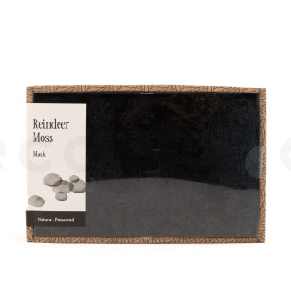Lichene preservato - Creabox M - Nero