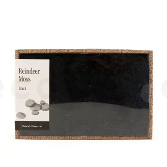 Preserved Reindeer Moss Black (Creabox M)