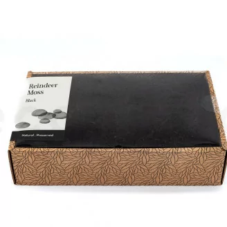 Lichen stabilis&eacute; Noir (Creabox M)
