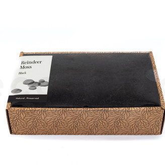 Lichene preservato - Creabox M - Nero