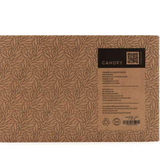 Liquen preservado - Creabox M - Negro