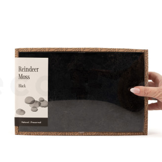 Liquen preservado - Creabox M - Negro