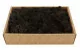 Preserved Reindeer Moss Black (Creabox M) 5