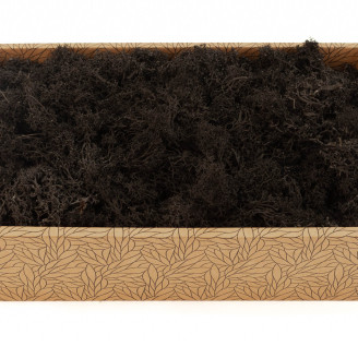 Liquen preservado - Creabox M - Negro