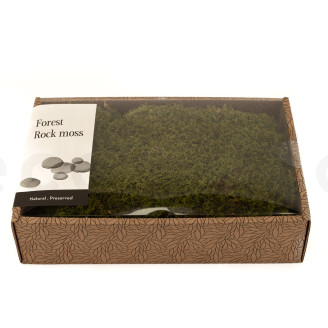 Rock Moss Preserved - Creabox M - Green