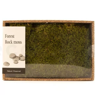 Mousse de Roche stabilis&eacute;e (Creabox M)