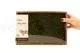 Muschio Lungo stabilizzato (Creabox M) 4