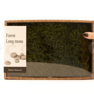 Muschio lungo stabilizzato - Creabox M - Verde