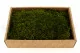 Mousse Longue stabilis&eacute;e (Creabox M) 5