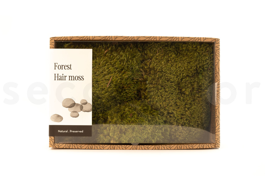 Hair Moss Preserved - Creabox M - Light Green