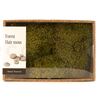 Hair Moss Preserved - Creabox M - Light Green