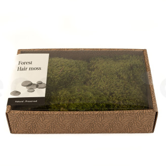 Hair Moss Preserved - Creabox M - Light Green