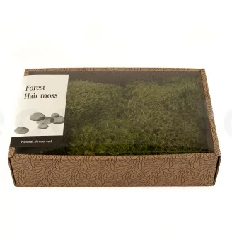 Hair Moss stabilis&eacute;e (Creabox M)