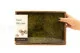 Hair Moss stabilizzato (Creabox M) 6