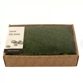Mousse Plate stabilis&eacute;e (Creabox M)