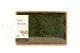 Musgo Helecho preservado (Creabox M) 2