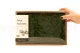 Musgo Helecho preservado (Creabox M) 4