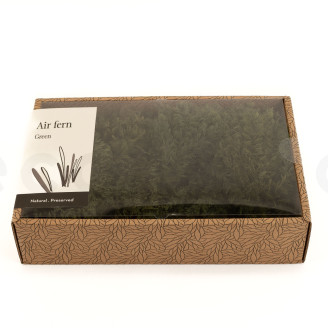 Air Fern preservato - Creabox M - Nature Green