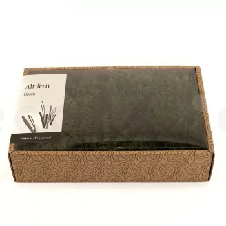 Air Fern stabilizzato Nature Green (Creabox M)