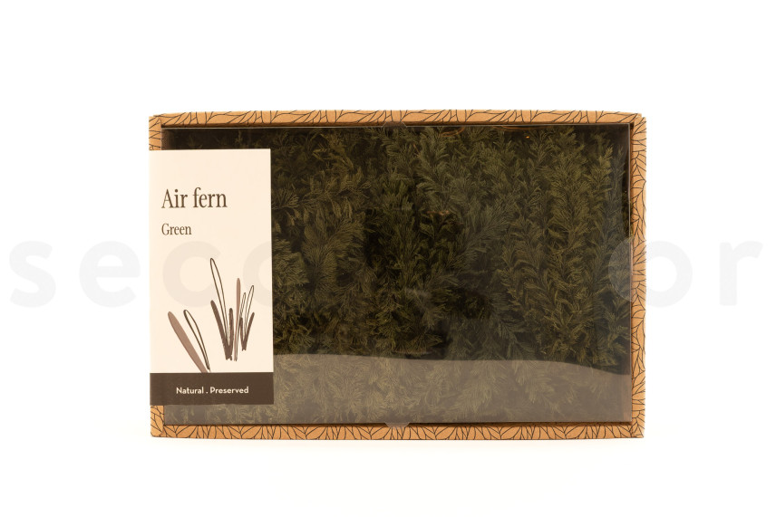 Air Fern preservato - Creabox M - Nature Green