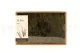 Preserved Air Fern Nature Green (Creabox M) 2