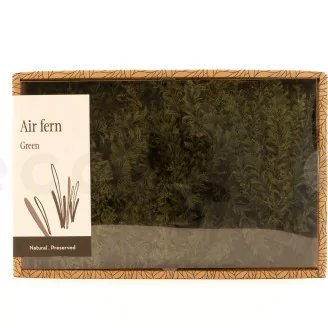 Air Fern preservado Nature Green (Creabox M)