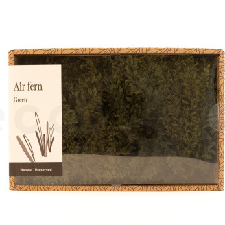 Air Fern preservato - Creabox M - Nature Green