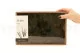 Preserved Air Fern Nature Green (Creabox M) 5
