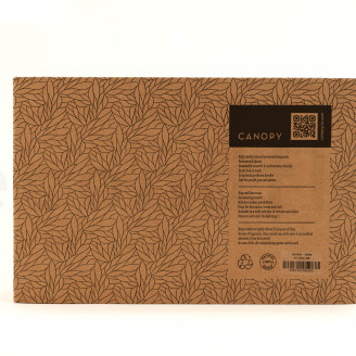Air Fern preservato - Creabox M - Nature Green