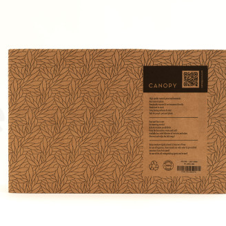 Air Fern preservato - Creabox M - Light Green