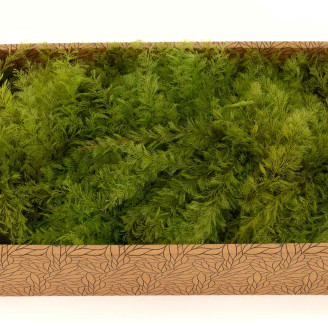 Air Fern preservato - Creabox M - Light Green