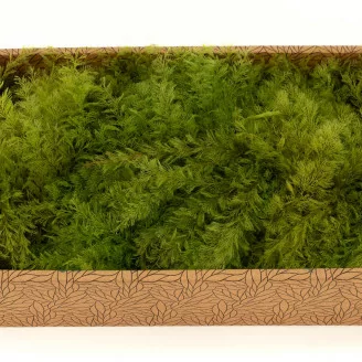 Air Fern stabilizzato Light Green (Creabox M)