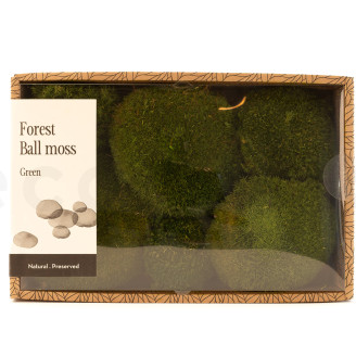 Muschio a sfera preservato - Creabox M - Nature Green