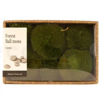 Muschio a Sfera stabilizzato Nature Green (Creabox M)