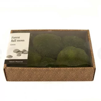Muschio a Sfera stabilizzato Nature Green (Creabox M)