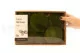 Preserved Ball Moss Nature Green (Creabox M) 4