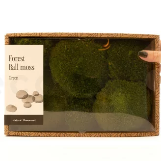 Muschio a Sfera stabilizzato Nature Green (Creabox M)