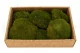 Mousse Boule Nature Green stabilis&eacute;e (Creabox M) 5
