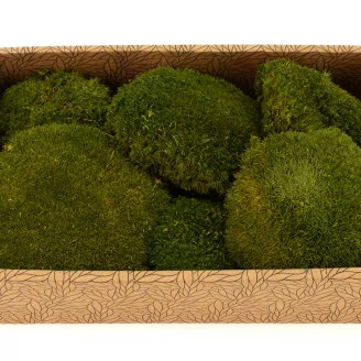 Mousse Boule Nature Green stabilis&eacute;e (Creabox M)