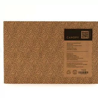 Muschio a Sfera stabilizzato Nature Green (Creabox M)