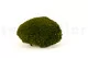 Musgo Bola preservado Nature Green (Creabox M) 3