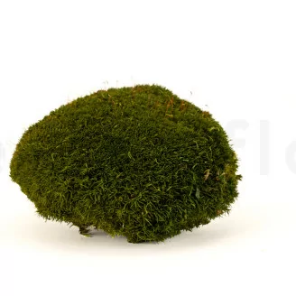 Mousse Boule Nature Green stabilis&eacute;e (Creabox M)