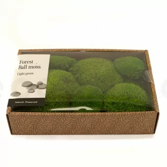 Muschio a Sfera stabilizzato Light Green (Creabox M)
