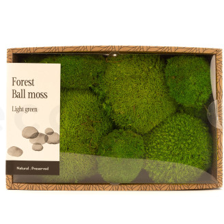 Musgo Bola preservado - Creabox M - Light Green